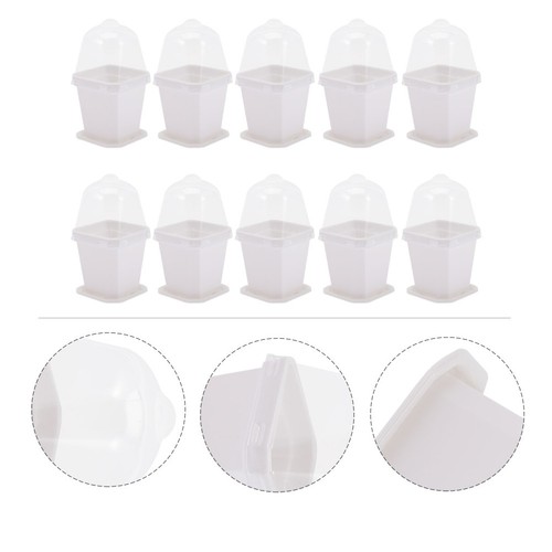 Set piante vivaio - piante, con