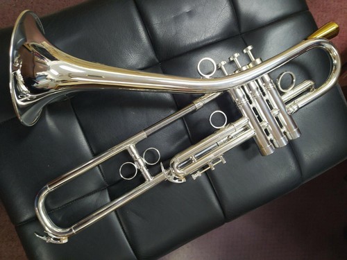 Berkeleywind tromba firebird - berkeleywind,