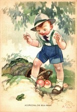 RANE - Frogs - Grenouilles -