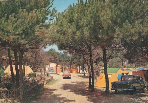 Punta marina campeggio - punta, marina:
