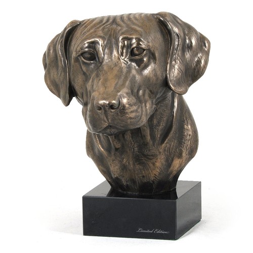 Rhodesian ridgeback head - rhodesian,