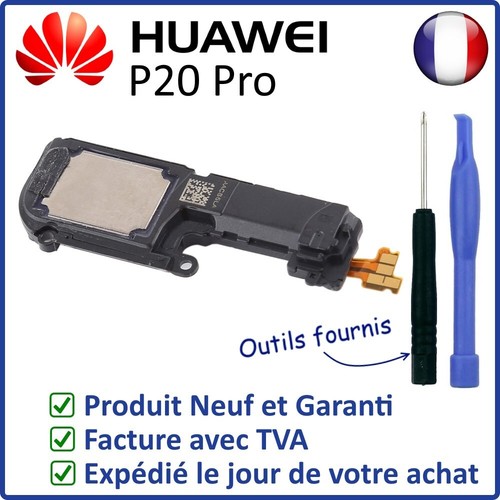 Module haut parleur - module, hp