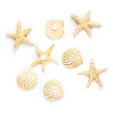 Logbuch-Verlag Conchiglie e