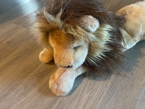 Peluche douglas zeus - douglas, 22"