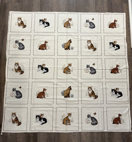 Toppe libro illustrato gatto