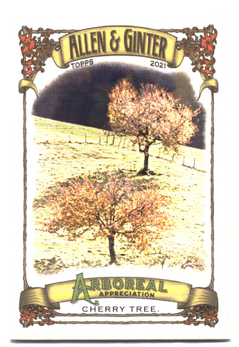 2021 topps allen ginter - &,