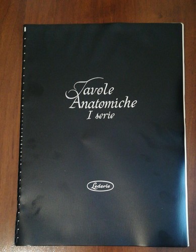 Tavole anatomiche serie - tavole,