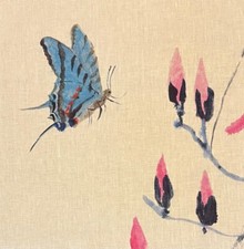 DESIGNERS GUILD Tulipani