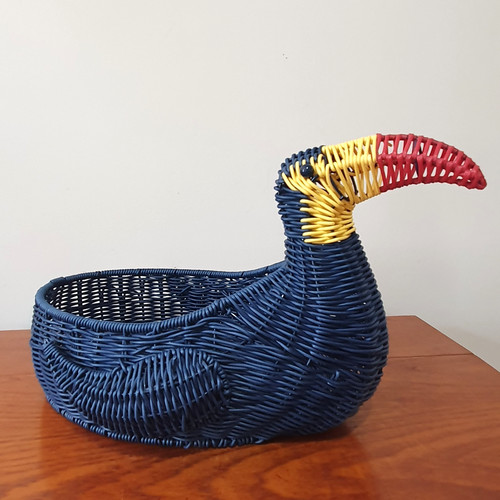 Ciroa toucan bird - toucan, cesto