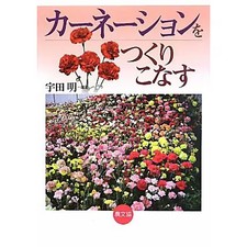 Japanese carnations hardcover
