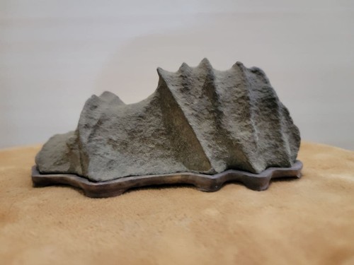 Bonsai suiseki bonseki - bonsai,