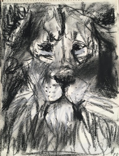 Pdq artista originale fauna - artista,