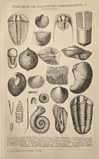 1875 N. 2 Stampe Antiche =