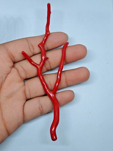 Ramo lucido corallo rosso