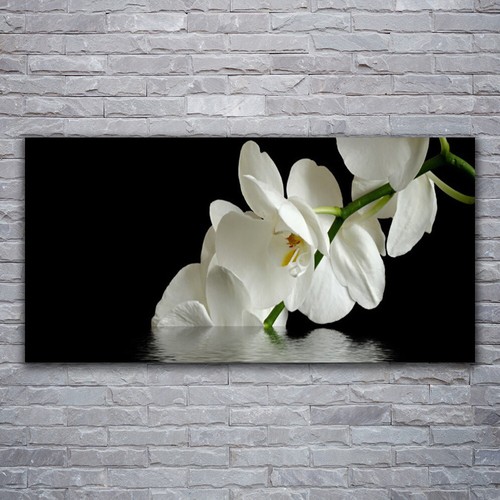 Moderni astratti 120x60 quadro - moderni,