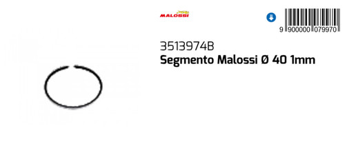 3513974b segmento malossi - 3513974b,