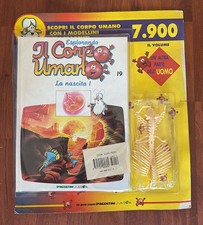 ESPLORANDO IL CORPO UMANO-FASCICOLO EDICOLA N.19-LIBRO+PARTE CORPO-DE AGOSTINI