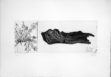 Renzo BIASION, Acquaforte cm. 25x35 (imm. cm. 10,5x26,2) anno 1969 es: 51/100