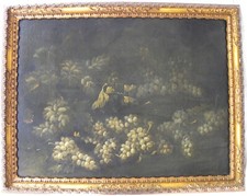 Natura morta con grappoli UVA ‘600 olio su tela cm 68x89 antico SEICENTO Boselli