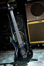 Chitarra elettrica ESP