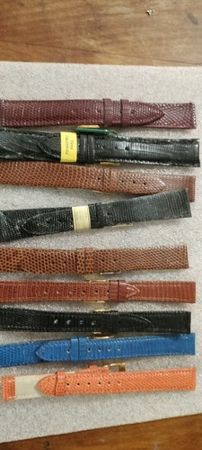 Stock cinturini lucertola - stock, 9