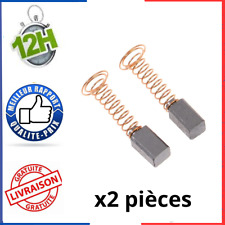 2 Charbons Balais PARKSIDE