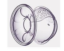 Avent Conchiglie Raccoglilatte Isis