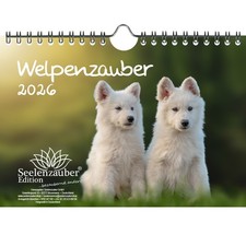 Welpenzauber DIN A5 Kalender für 2026 Hunde Welpen - Seelenzauber