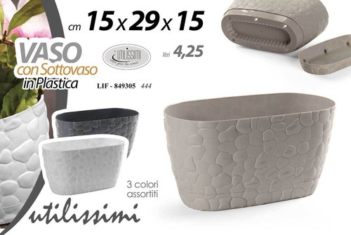 Vaso piante grasse fiori - vaso, semi