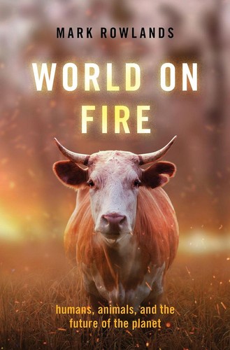 World fire humans - world, on