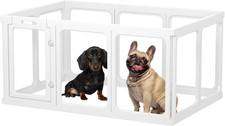 Recinto per Cani in Acrilico