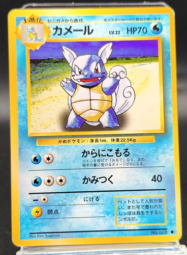 Carta wartortle 008 - carta,