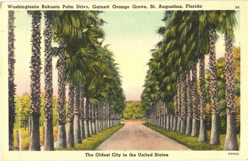 Augustine florida - st.,
