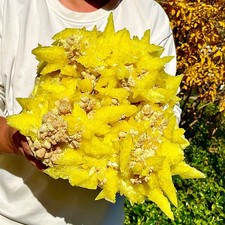 27,32LB Raro esemplare