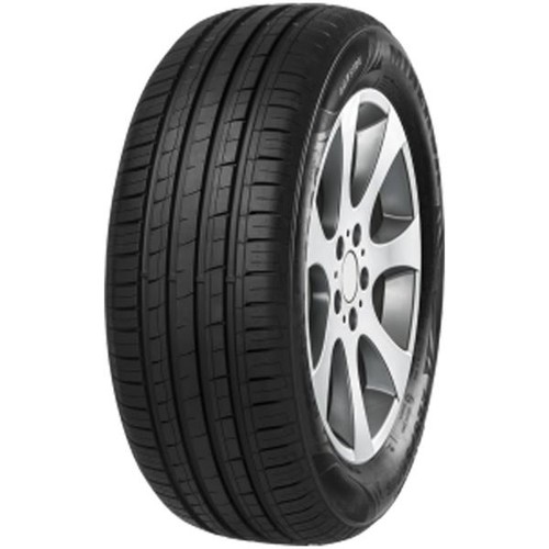Minerva f209 205 50r15 89v - f209,