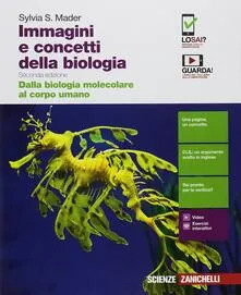 Immagini concetti della - e,