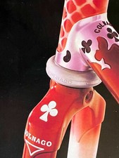 Catalogo negozio bici Colnago