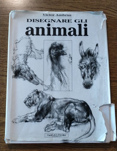 Disegnare gli animali victor - disegnare,