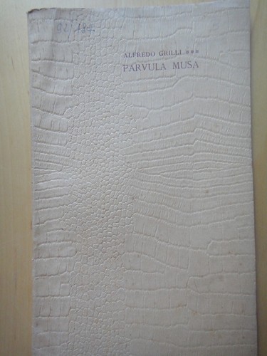 1905 parvula musa alfredo - 1905-parvula, musa-alfredo
