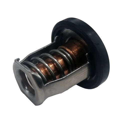 Termostato marino per motore