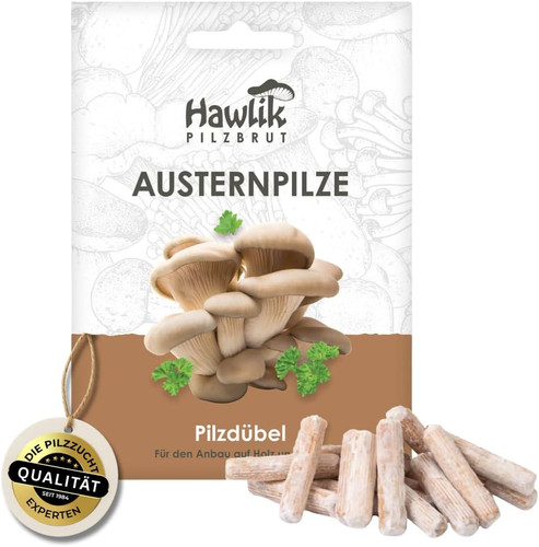Originale funghi di - i,