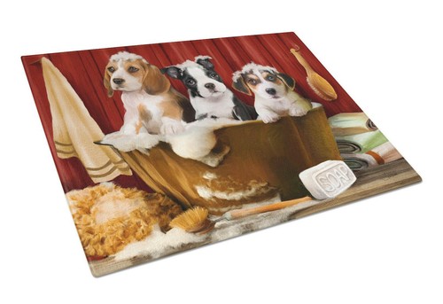 Beagle boston terrier - beagle,,