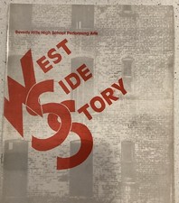 David Schwimmer TV Show