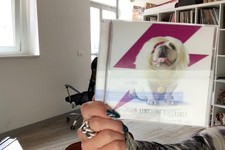 2CD ALIEN ARMY THE DIFFERENCE