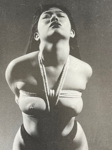 Photo japon bondage shibari - photo,