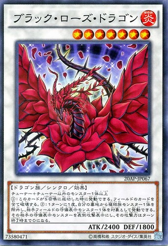 Ocg drago rosa nera - drago,