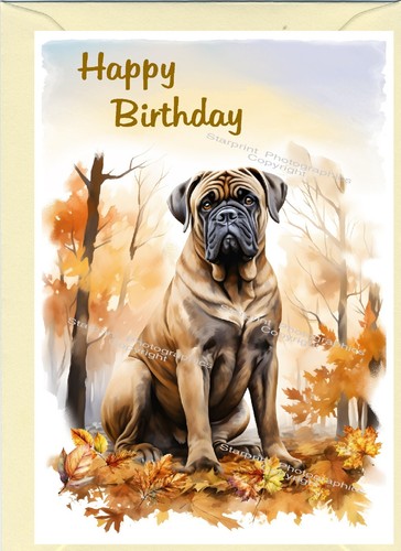 Biglietto compleanno - biglietto,