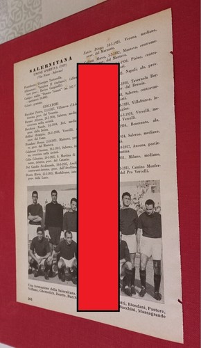 Salernitana reggina squadre - reggina,