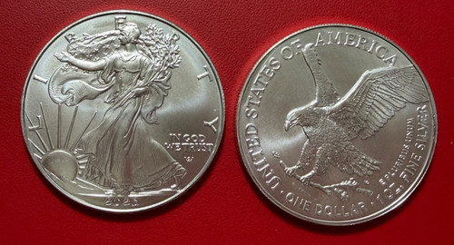 America usa dollaro 2026 - usa,