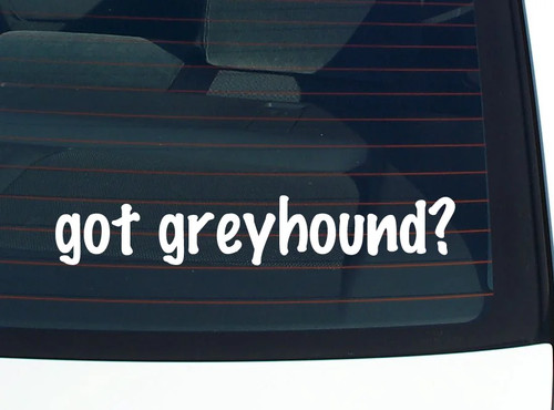 Got greyhound decalcomania - greyhound?,